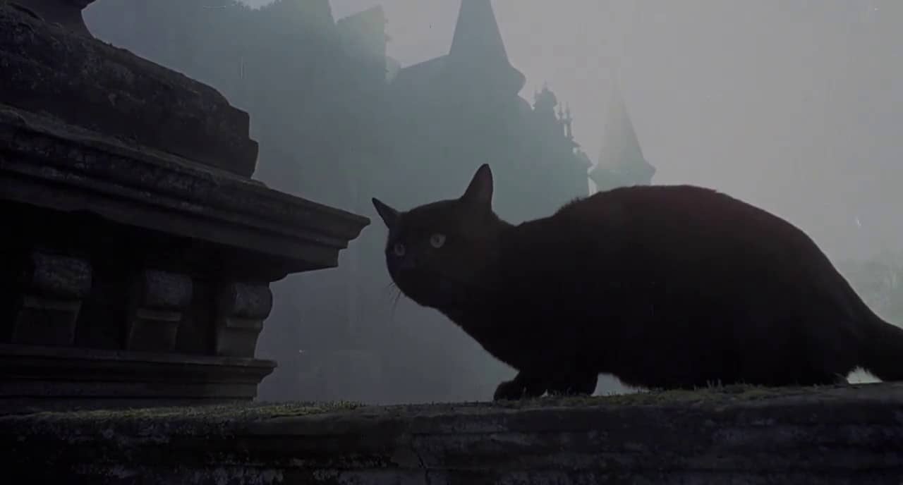 The Legend Of Hell House Cat