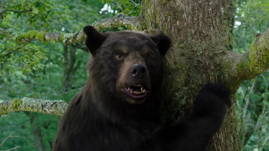 Eric’s Review: Cocaine Bear (2023)