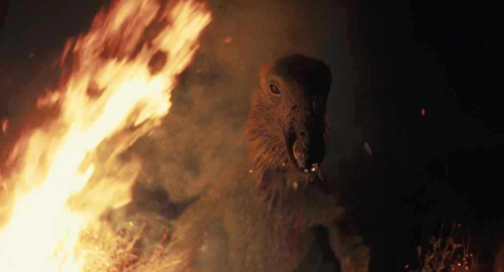 A dog with a fierce expression near a large fire in a dark setting.