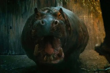 A menacing hippopotamus with its mouth open in a dark, swampy environment.