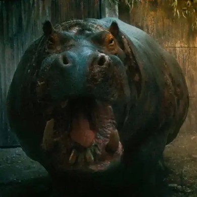 A menacing hippopotamus with its mouth open in a dark, swampy environment.